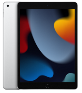 iPad 10.2" 256Gb WiFi Silver (2021)
